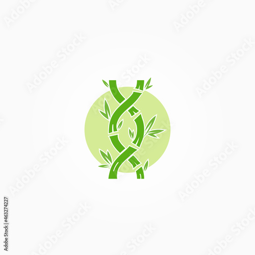 Bamboo, DNA, Biology