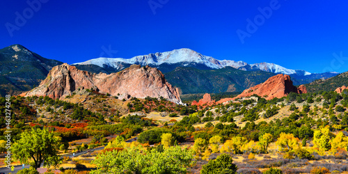 Colorful Garden Panorama