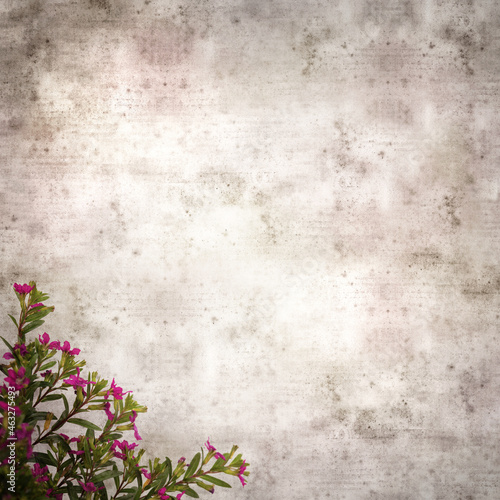 square stylish old textured paper background with flowering Cuphea hyssopifolia, the false heather
