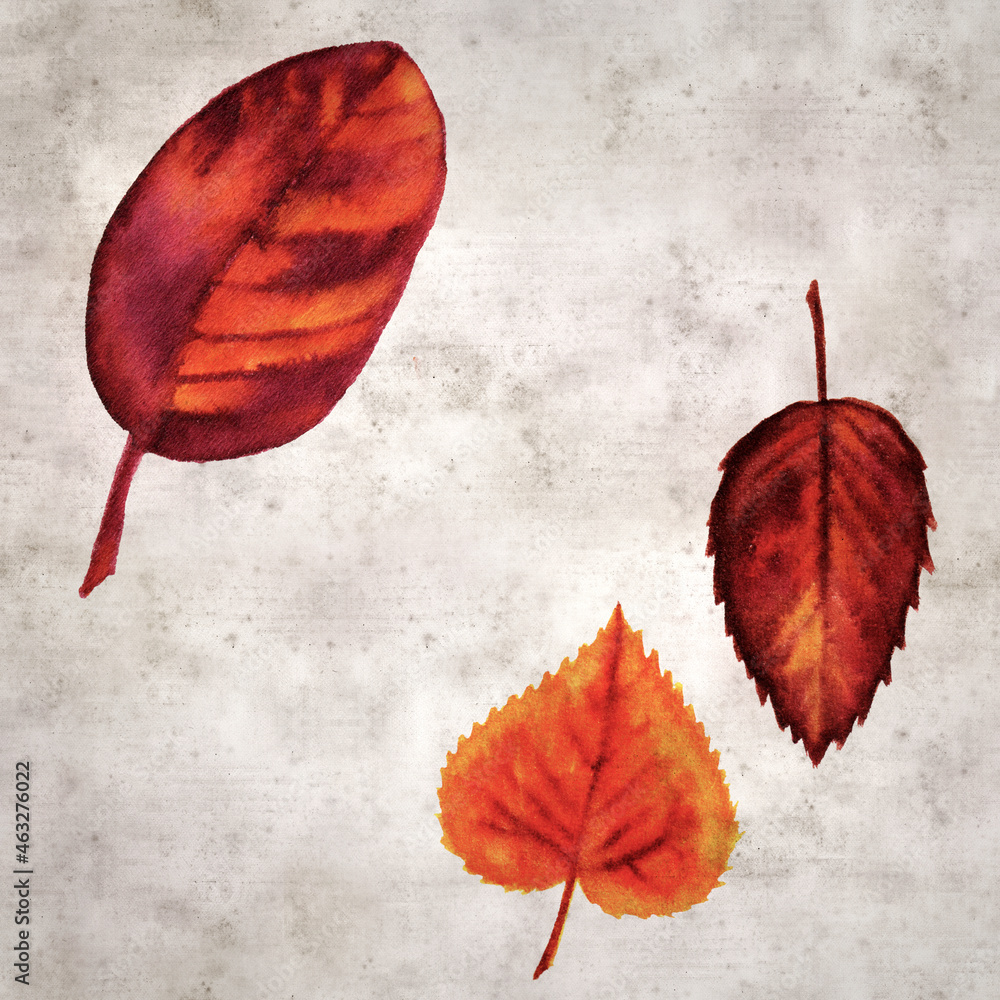 Fototapeta premium stylish textured old paper background with autumnal leaves in color ink