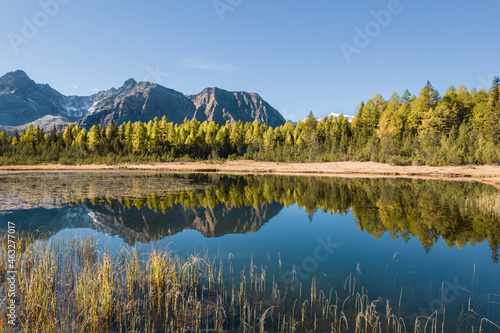 Larch forest are reflected in the mountain lake. Autumn season