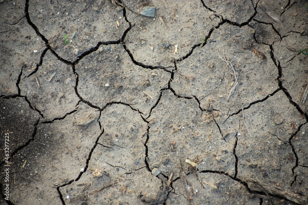 Dry, cracked dirt texture for creative background Dry, cracked dirt texture for creative background