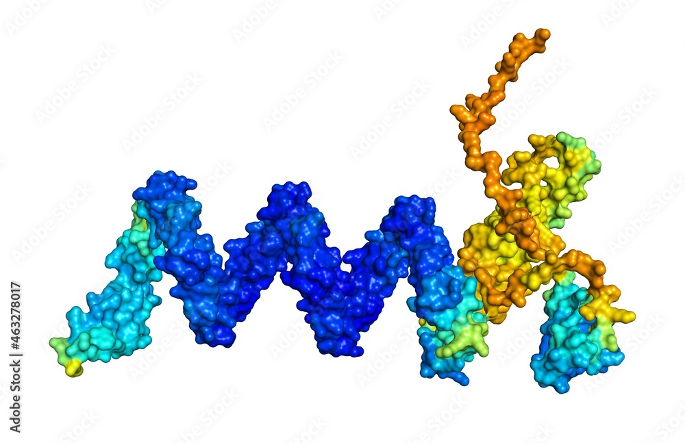 3D rendering of Zinc finger protein 430 as predicted by alphafold and colored according to confidence in the model. 3D rendering of Zinc finger protein 430 as predicted by alphafold and colored according to confidence in the model.
