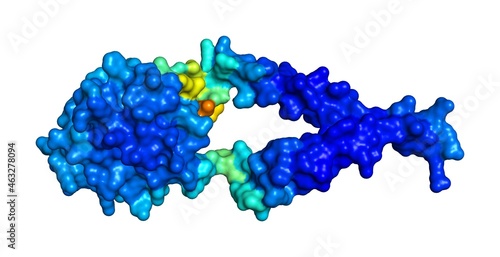 3D rendering of COMM domain-containing protein 2 as predicted by alphafold and colored according to confidence in the model.  © JeanMarc