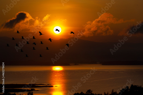 Silhoutte of flock birds flying over the lake, the background of the sunrise.