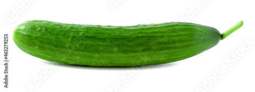 Isolated cucumber, long tasty and healthy vegetable on a white background.
