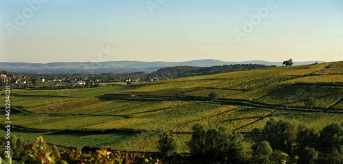 Vignoble de Montagny-l  s-Buxy dans la c  te Chalonnaise en automne.