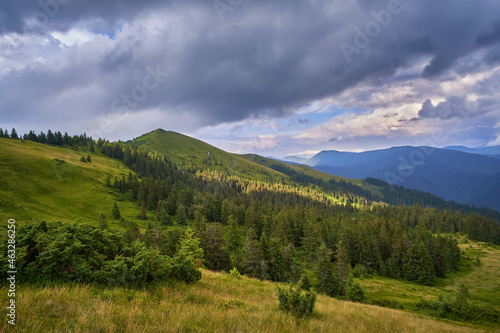 Beautiful summer mountain landscape with dramatic sky. Coniferous forest surrounds the top of the mountain