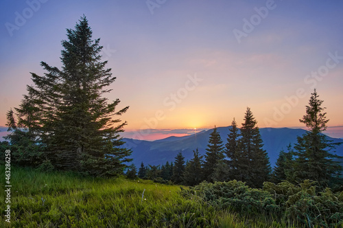 Fototapeta Naklejka Na Ścianę i Meble -  Sunset in the mountains. Between large dark fir trees, the sun sinks behind a distant mountain range