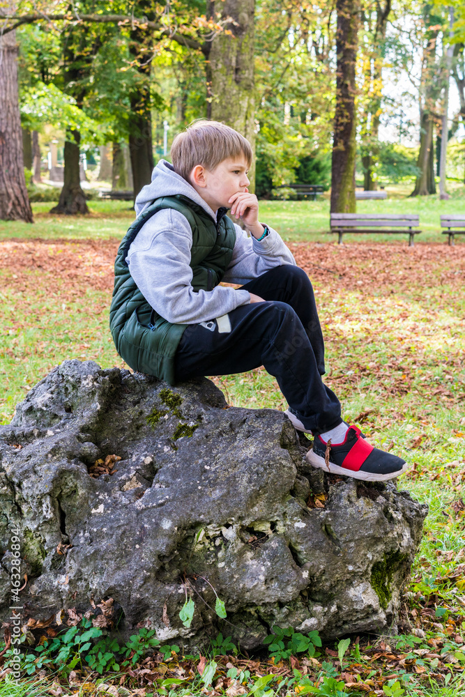 Young White Boy Thinking on a Rock in the Park Young White Boy Thinking on a Rock in the Park