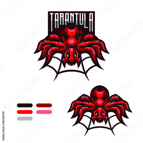 Tarantula Spider Mascot Illustration