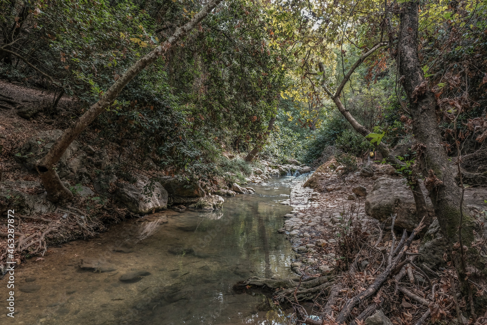 View of Kziv Stream at the end of the Black marked trail, Montfort Nahal Kziv National park, Western Galilee, Northern District of Israel, Israel. View of Kziv Stream at the end of the Black marked trail, Montfort Nahal Kziv National park, Western Galilee, Northern District of Israel, Israel.