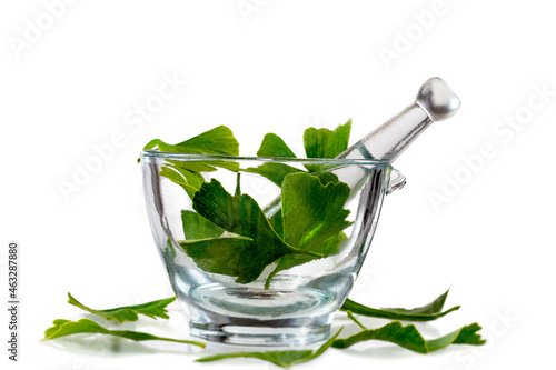 ginkgo biloba- Medicinal virtues,Medicinal Plants - Well-being, healthcare alternative medicine photo