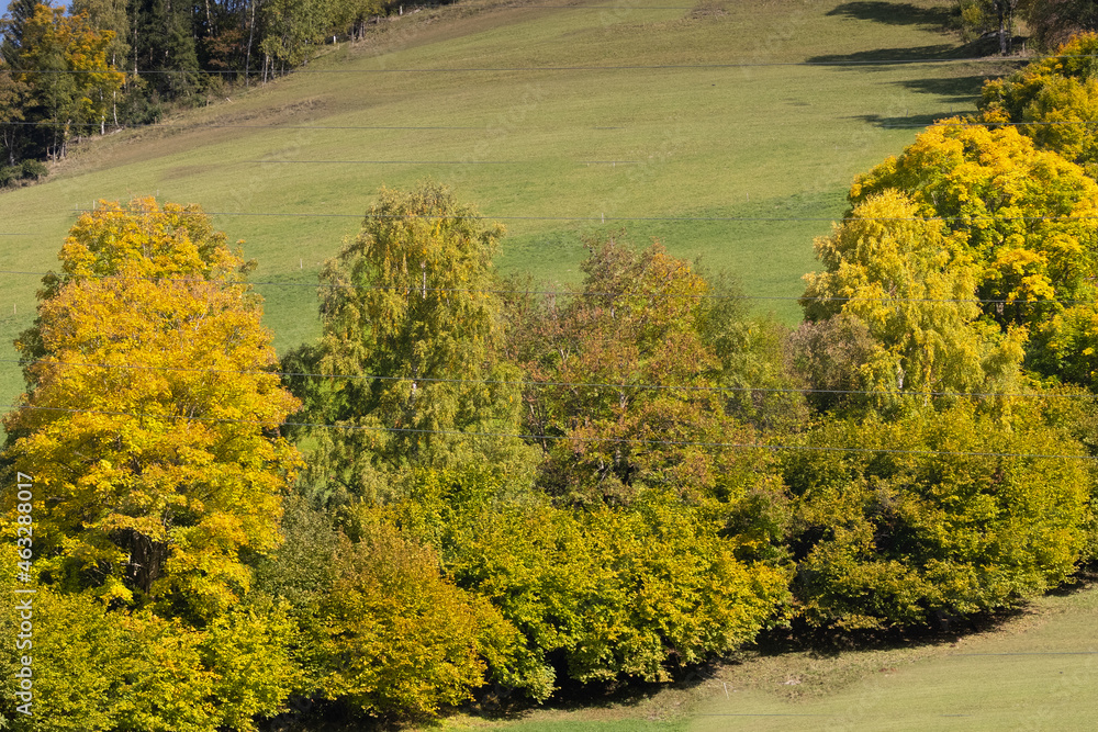 Fototapeta premium Herbstidylle 