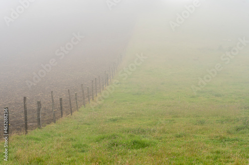 Green landscape in Tabio Cundinamarca