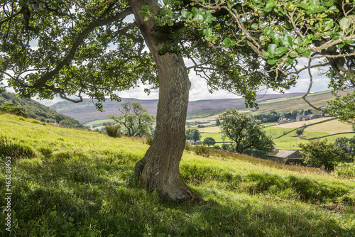 Summer landscape in the Yorkshire Dales