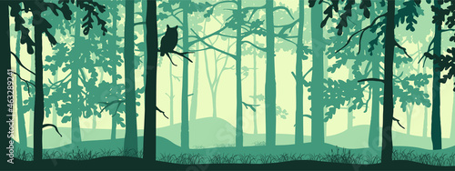 Horizontal banner of forest background, silhouettes of trees, owl on branch. Magical misty landscape, fog. Blue and green illustration. Bookmark.  photo