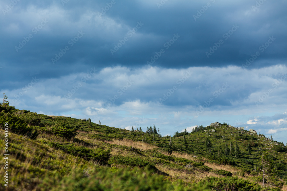 Landscape of a slope with many stones on it, Carpathian mountains, Ukraine Landscape of a slope with many stones on it, Carpathian mountains, Ukraine