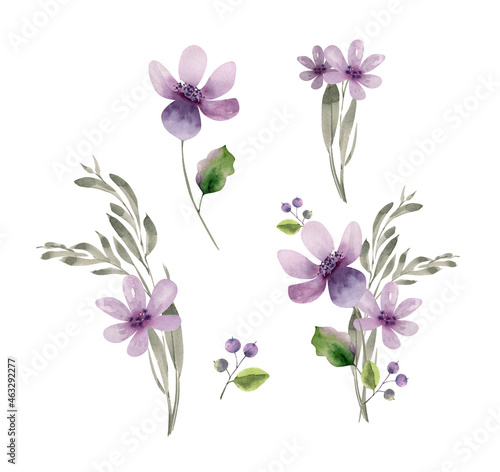 set of delicate watercolor purple flowers, hand painted