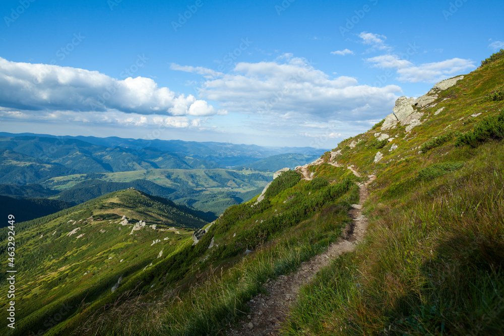 Fototapeta premium The hillside of the mountain with a narrow footpath on it, Carpathian mountains, Ukraine