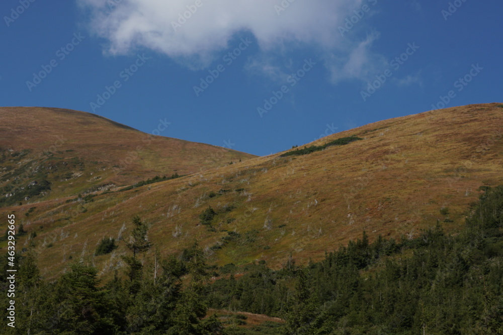 beautiful scenery in the mountains in western ukraine beautiful scenery in the mountains in western ukraine