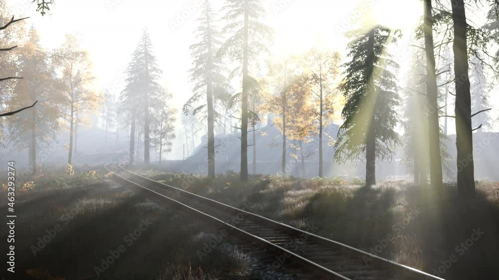 empty railway goes through foggy forest in morning empty railway goes through foggy forest in morning
