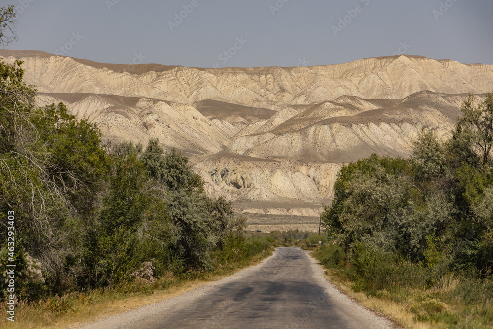 Fototapeta premium road in the desert