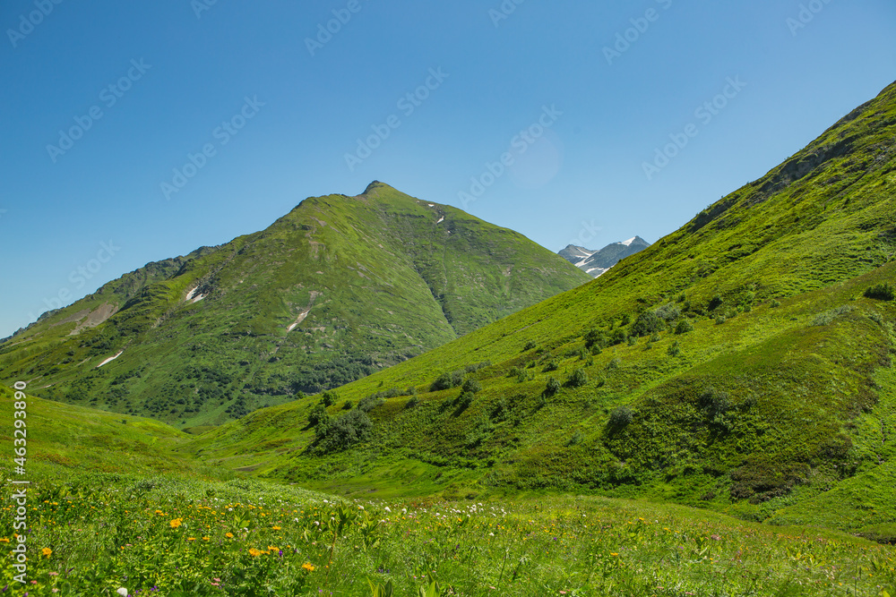 mountain landscape with grass