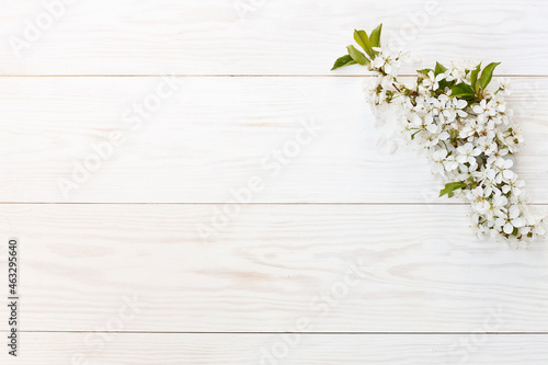 Close-up photo of Beautiful white Flowering Cherry Tree branches. Wedding  engagement or betrothal concept on vintage wooden background. Top view  greating card.
