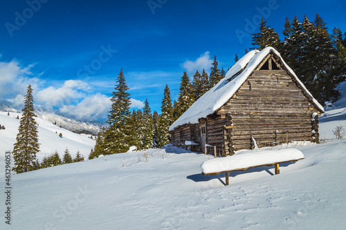Beautiful snow covered scenery with pine forest and wooden hut