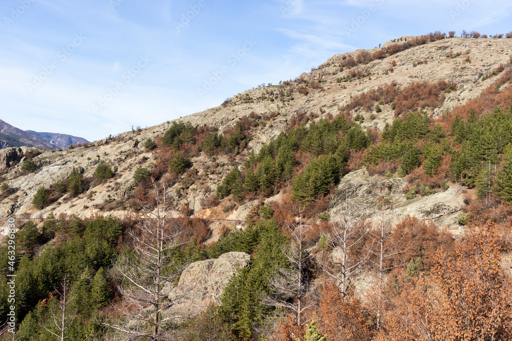 Rhodope Mountains near Borovitsa Reservoir, Bulgaria