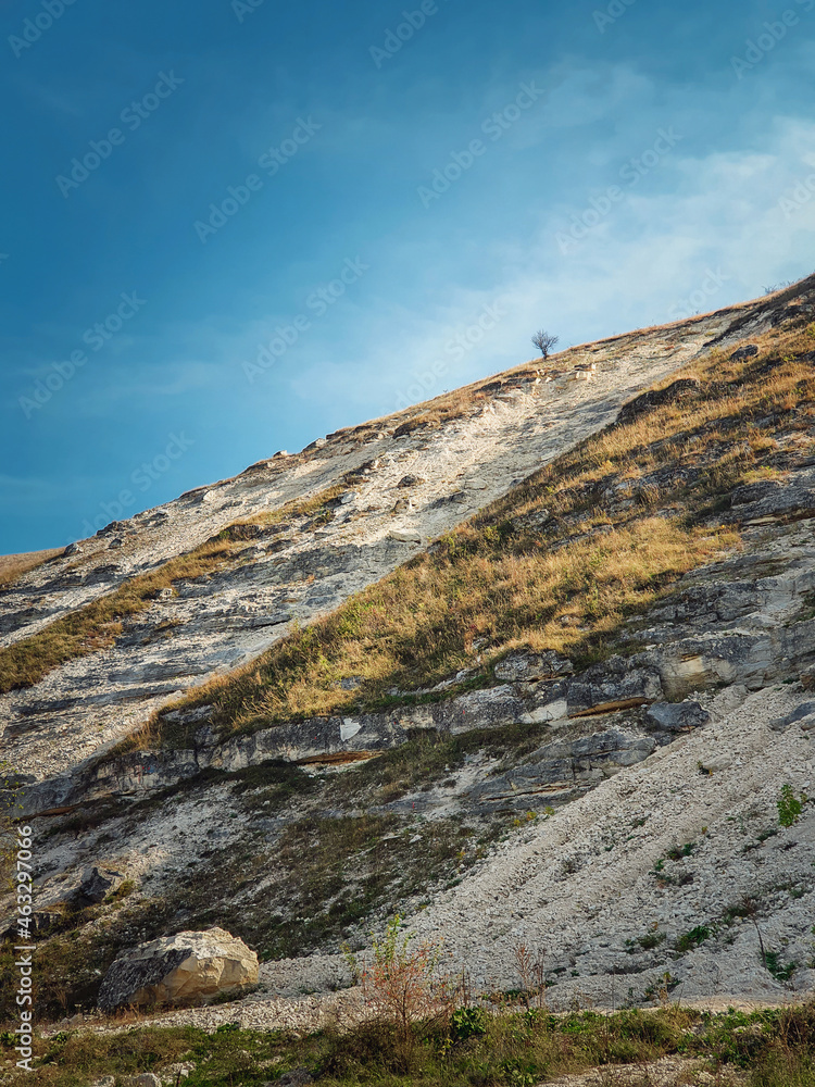 Idyllic countryside view to a bare and lone tree on the top of the karst limestone hills at Orheiul Vechi, old Orhei complex, near Trebujeni village, Moldova. Autumn season natural landscape