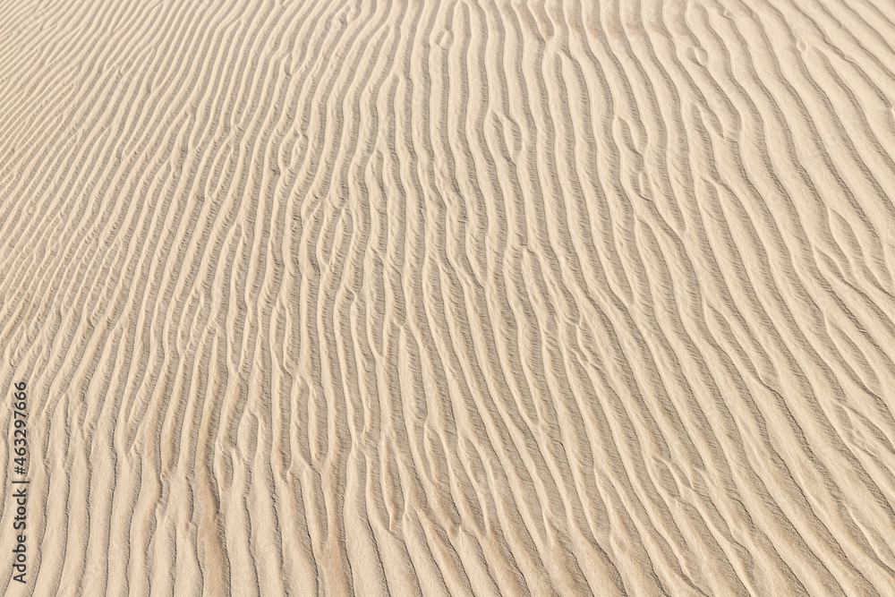 Dunes with wind marks Dunes with wind marks