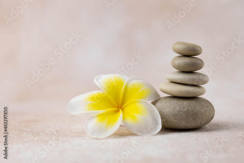 Pyramids of gray and white zen pebble meditation stones on beige background with plumeria tropical flower. Concept of harmony  balance and meditation  spa  massage  relax