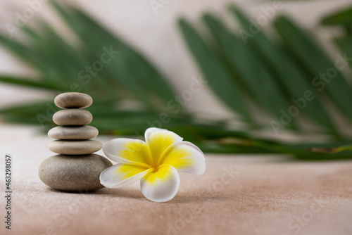 Pyramids of gray and white zen pebble meditation stones on beige background with plumeria tropical flower. Concept of harmony  balance and meditation  spa  massage  relax