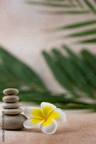 Pyramids of gray and white zen pebble meditation stones on beige background with plumeria tropical flower. Concept of harmony  balance and meditation  spa  massage  relax
