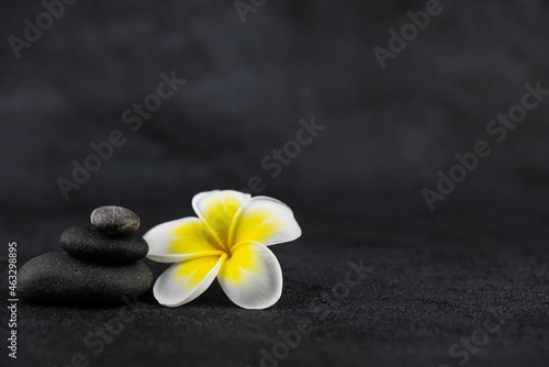 Pyramids of gray and white zen pebble meditation stones on black background with plumeria tropical flower. Concept of harmony  balance and meditation  spa  massage  relax