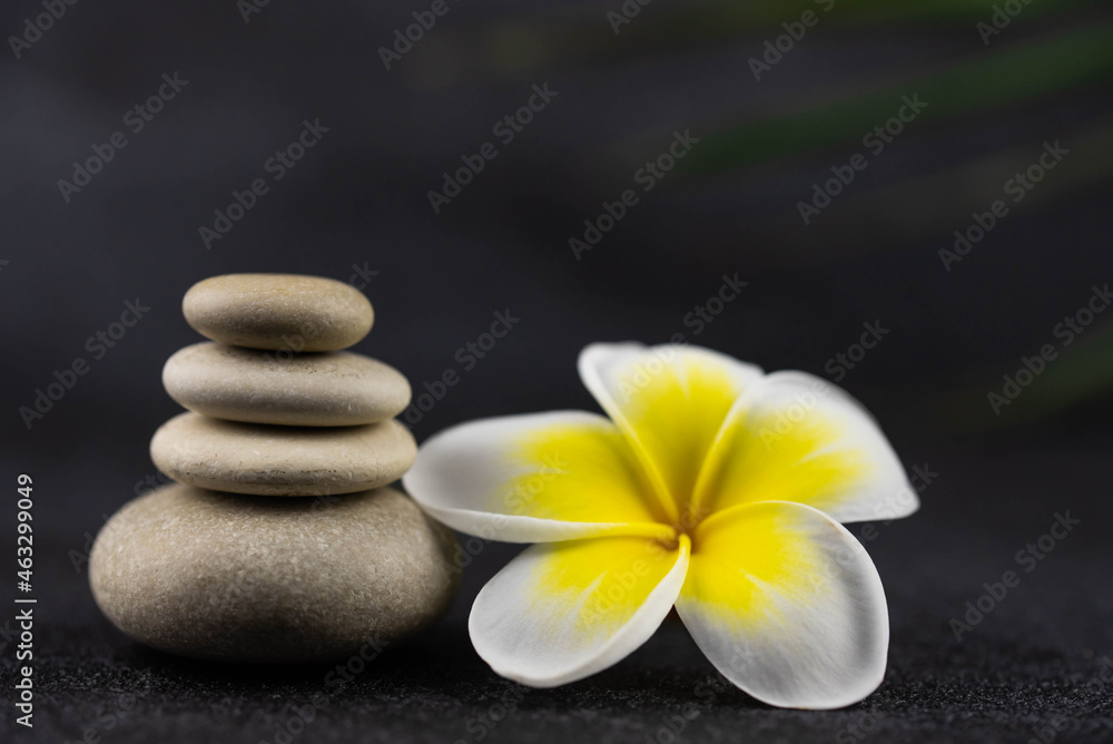 Fototapeta premium Pyramids of gray and white zen pebble meditation stones on black background with plumeria tropical flower. Concept of harmony, balance and meditation, spa, massage, relax