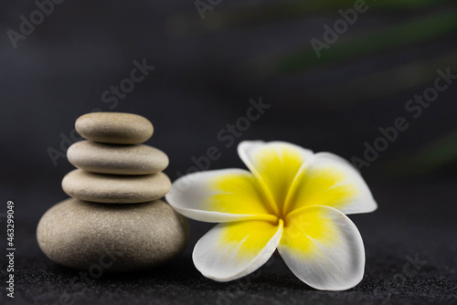 Pyramids of gray and white zen pebble meditation stones on black background with plumeria tropical flower. Concept of harmony, balance and meditation, spa, massage, relax