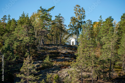 Canvas Print forest in autumn, nacka,sweden, sverige, stockholm