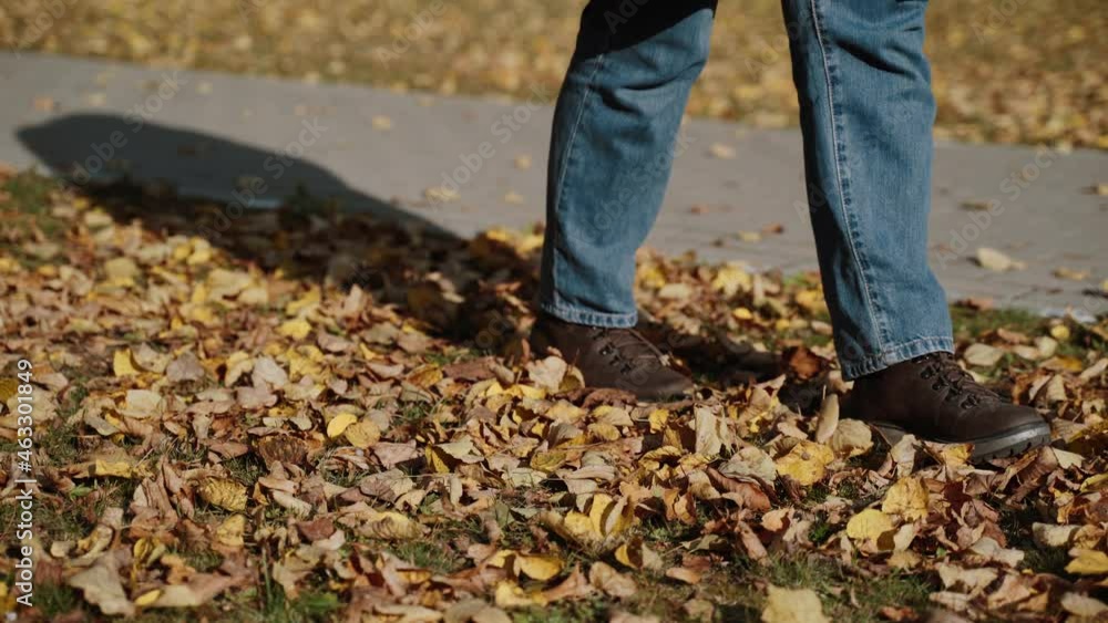 Women legs in autumn brown boots and blue jeans are walking on the grass covered with autumn leaves, close-up. Passer-by kicks yellow autumn leaves. Walk in the park on sunny day. Women legs in autumn brown boots and blue jeans are walking on the grass covered with autumn leaves, close-up. Passer-by kicks yellow autumn leaves. Walk in the park on sunny day.