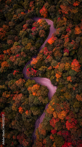 Color Curves
A beautiful setting of a curvy road, meandering through northern Vermont.  A drone shot taken in the early fall season. 