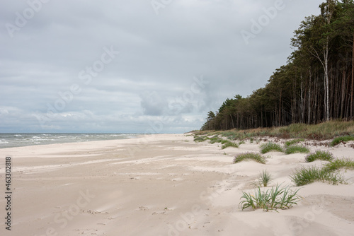Wide beach and conifer forest under cloudy sky. Baltic Sea, Bialogora, Poland. Selective focus. 