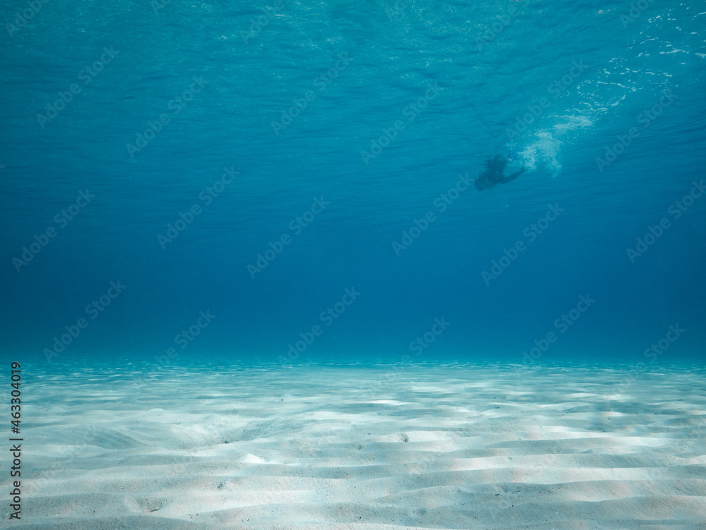 person swimming in the blue, sandy bottom below