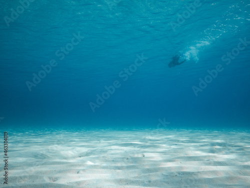 person swimming in the blue  sandy bottom below