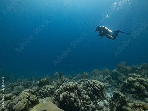 diver profile swimming over healthy reef in the deep