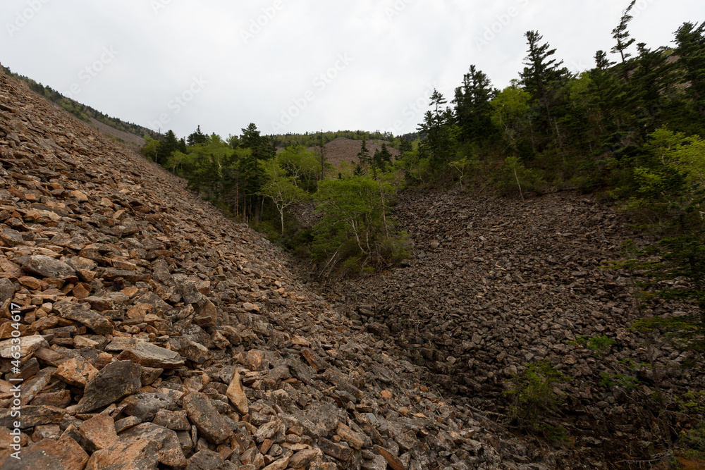 Obraz premium The nature of the Far East. A steep rocky ascent to Mount Lysaya in the Primorsky region. Natural kurumnik on a high mountain.