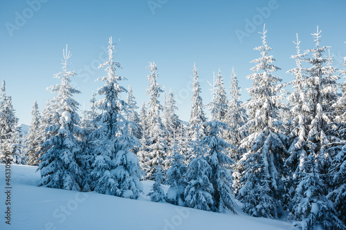 beautiful winter landscape © Leonid Tit