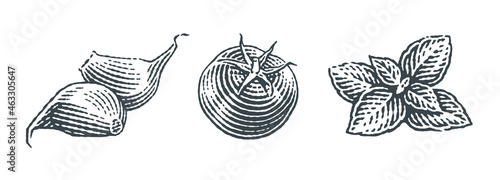 Cherry tomatoes, basil and garlic cloves. Hand drawn engraving style illustrations. Vector vintage illustration.