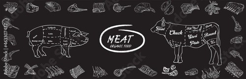 Fresh meat products collection. Sketch vector illustration. Hand drawn illustration. Pieces of meat design template. Design element for poster, menu, flyer, banner, menu, package.